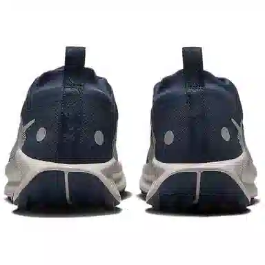 Nike Pegasus Trail 5 GORE-TEX