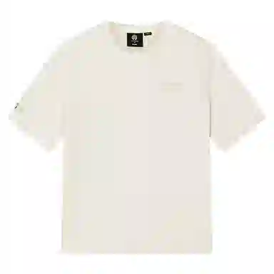 Palladium T