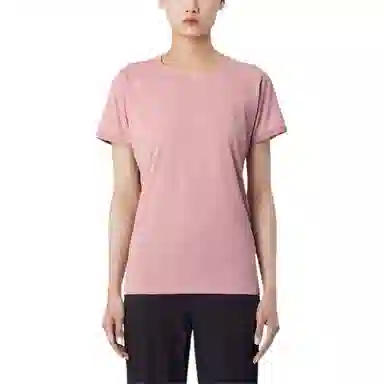 Arcteryx TAEMA ARC'WORD Logo T