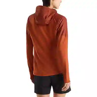 Arcteryx DELTA HYBRID