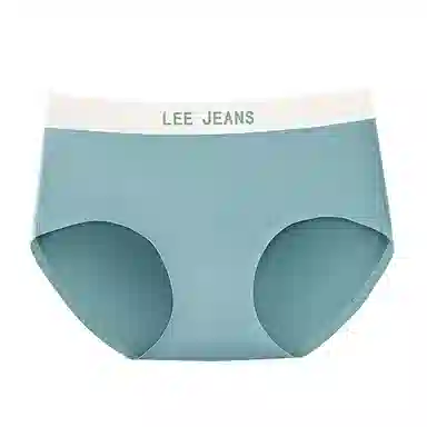 Lee 1