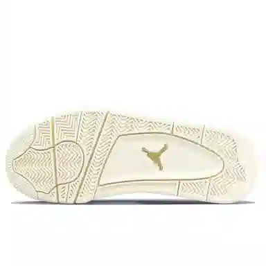 Jordan Air Jordan 4