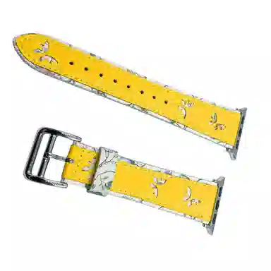 Akkerds Apple watch