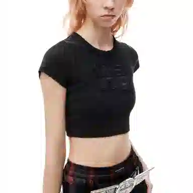 alexander wang FW24 T