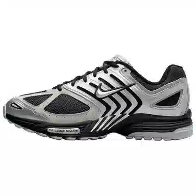 Nike Air Pegasus 2K5 Metallic Silver