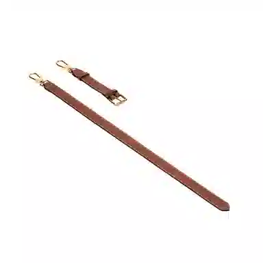 FANJI longchamp