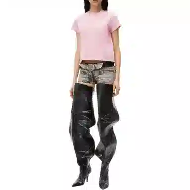 alexander wang FW24 logo T