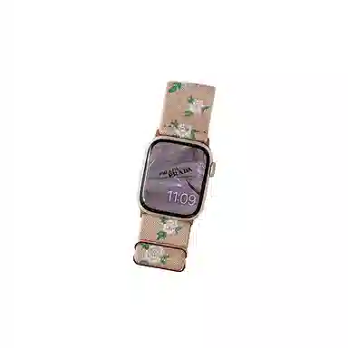 Akkerds Apple watch