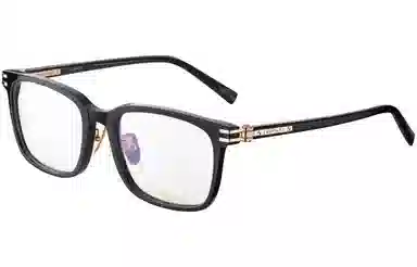 CHOPARD 24FW Fitting