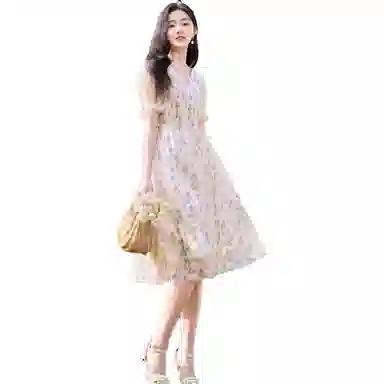 XIANGYING V