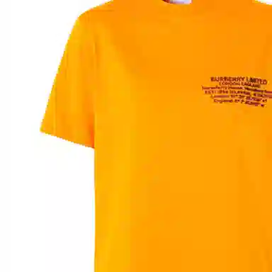 Burberry T