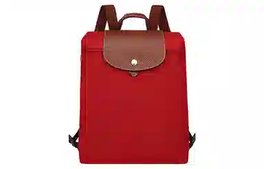 LONGCHAMP Le Pliage 26