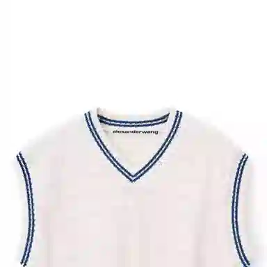 alexander wang V