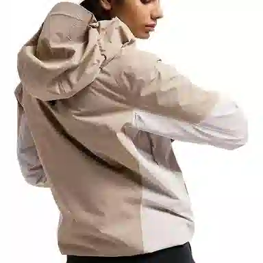 Arcteryx Theris Down Gore-Tex