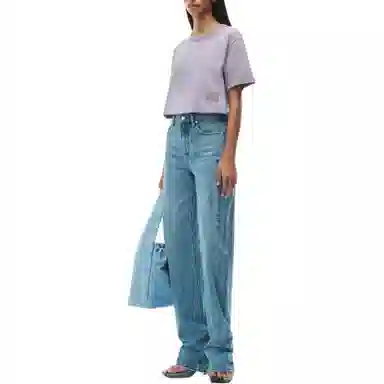 alexander wang Logo T