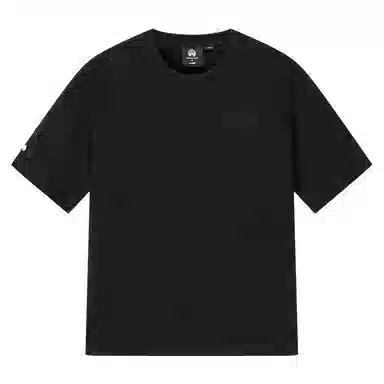 Palladium T