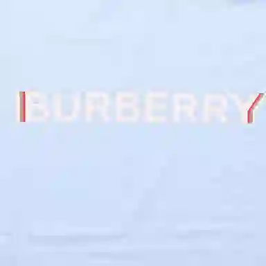 Burberry SS22 LogoT