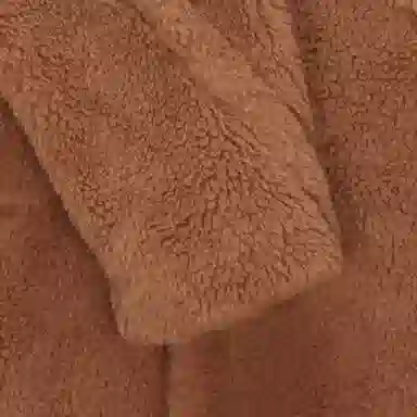 MaxMara Teddy Coat