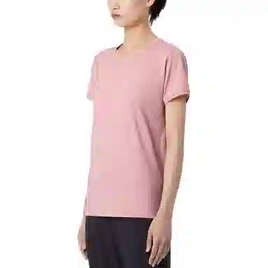 Arcteryx TAEMA ARC'WORD Logo T