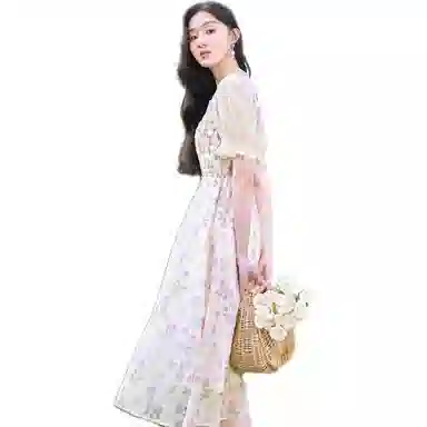 XIANGYING V