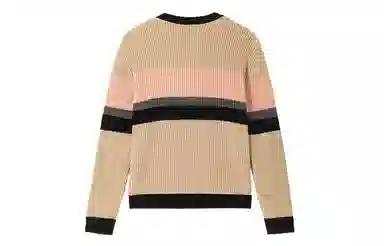 Champion FW24 V-Neck Cardigan Khaki