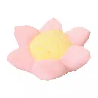 23cm35cm43cm45cm50cm