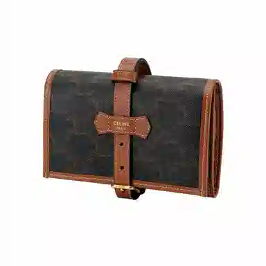 CELINE Triomphe