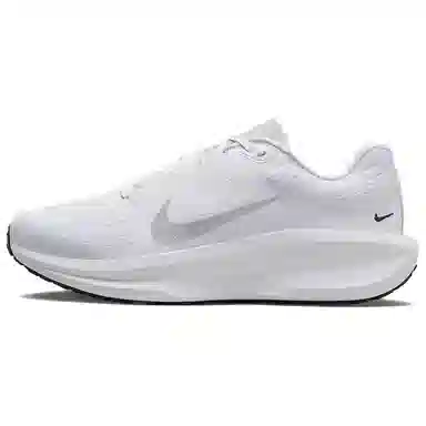 Nike AIR WINFLO 11