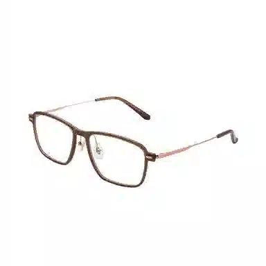 Seiko Optical Frame Titanium Bronze