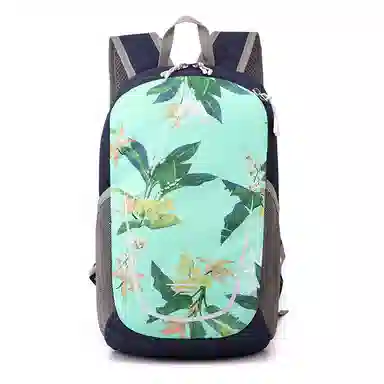 行途 背包轻便简约旅游包大容量户外运动登山包旅行包 尼龙 双肩包 男女同款情侣款 多色