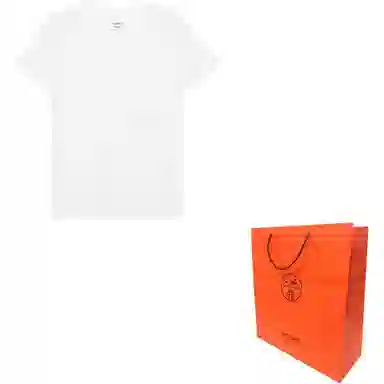 HERMES T