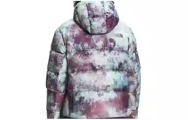 The North Face FW22 Printed Hooded Jacket