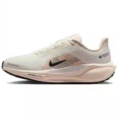 Nike Pegasus 41