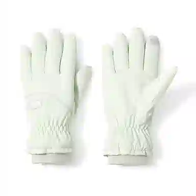 俞兆林 滑雪保暖加绒加厚骑行电动车防风防寒可触屏雪山防泼水 聚酯纤维 手套 女款