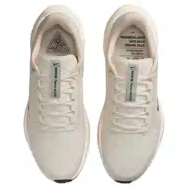 Nike Pegasus 41