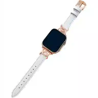 Akkerds Apple Watch CD