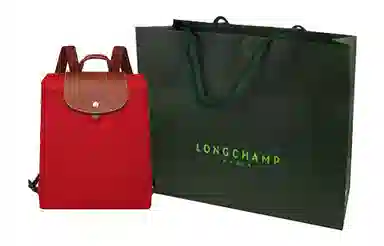 LONGCHAMP Le Pliage 26