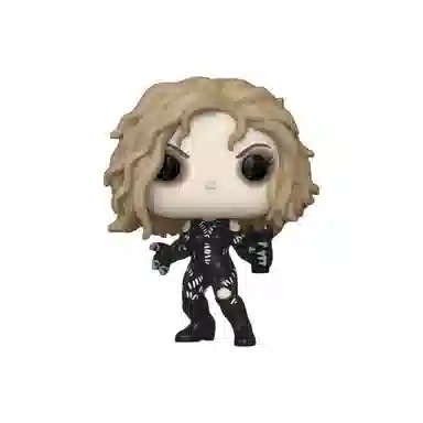 Funko x DC Comics POP Q