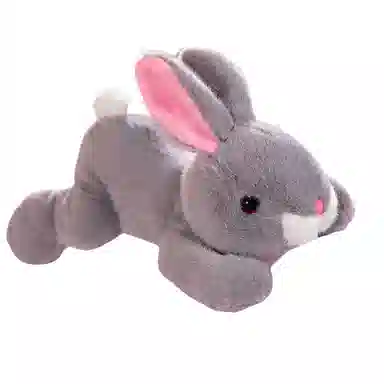 25cm35cm