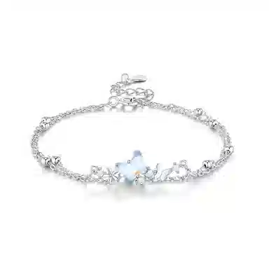 CAREBEARS S925