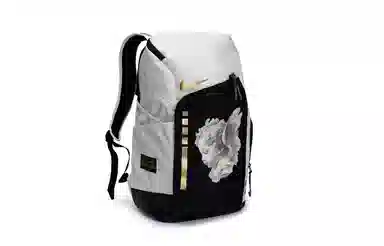 Nike Hoops Elite 811