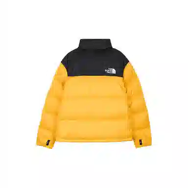 THE NORTH FACE 1996 logo