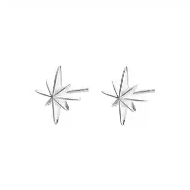 EAR PARTNER 999