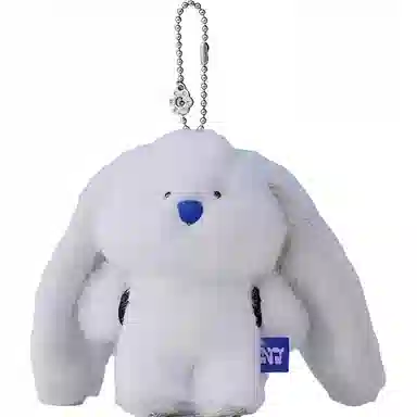 LINE FRIENDS newjeans x coller BUNNY