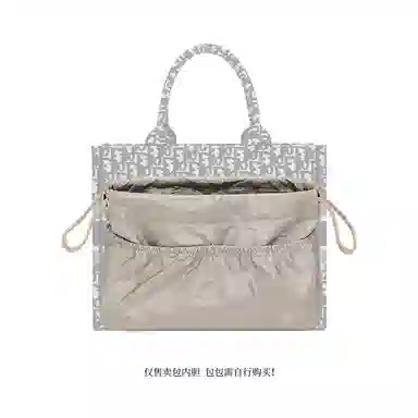 Dior Book Tote Organizer