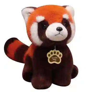 lionf 25cm30cm