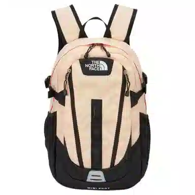 The North Face 20L Pink Backpack