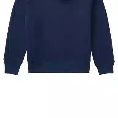 Polo Ralph Lauren Navy Hoodie