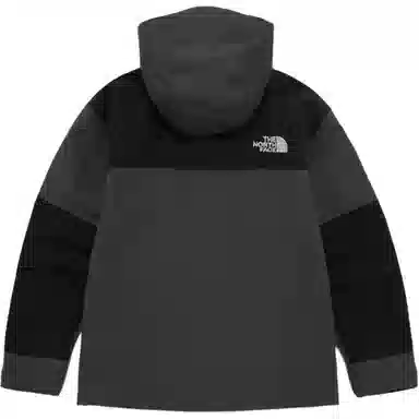 THE NORTH FACE DRYVENT Logo