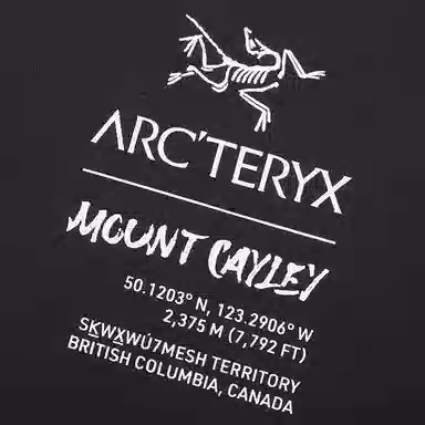 Arcteryx Captive Legend